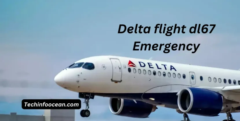 Delta flight dl67 emergency