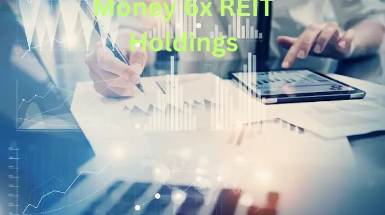 money 6x reit holdings